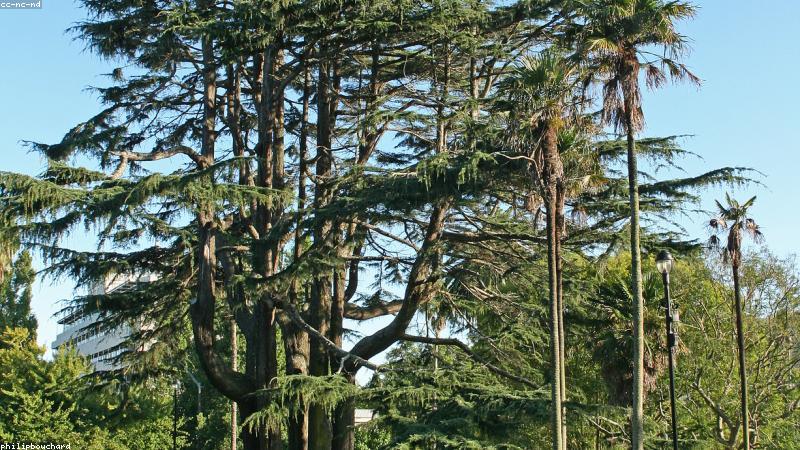 New Zealand Study Visa blog guide